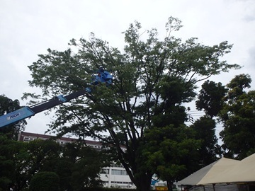 株式会社藤雅園-4