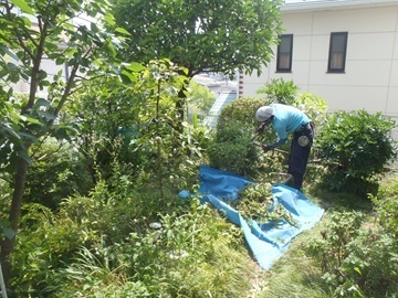 株式会社藤雅園-5