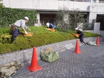 株式会社藤雅園-3