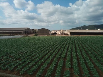 株式会社榊原-3