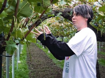 合同会社Off Focus Farm-2