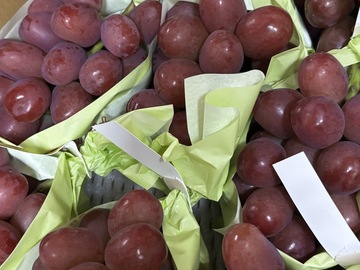 合同会社Off Focus Farm-3