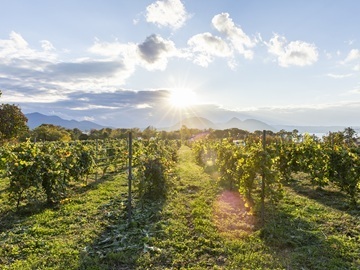 株式会社オーチャード奥洞爺-7