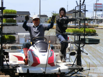 有限会社アグリゴールド矢木-6