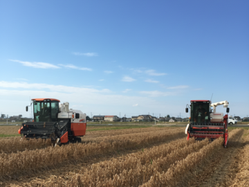 有限会社アグリゴールド矢木-2