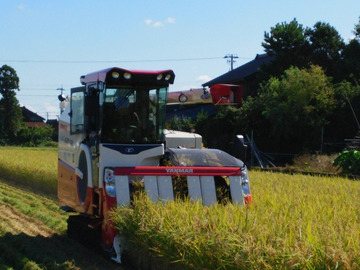 有限会社アグリゴールド矢木-4