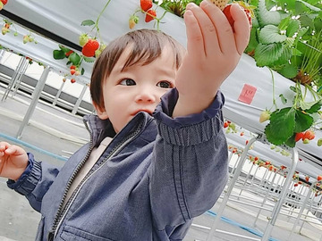 有限会社アグリゴールド矢木-8