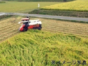 長野県佐久市×稲作/法人【36133】-1