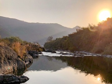 株式会社矢野青果-8