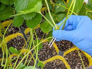 株式会社Agri Link-7