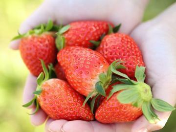 株式会社Agri Link-8