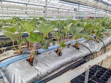 株式会社Agri Link-2