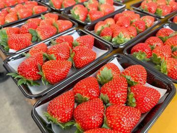 株式会社Agri Link-5