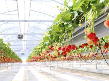 株式会社Agri Link-6