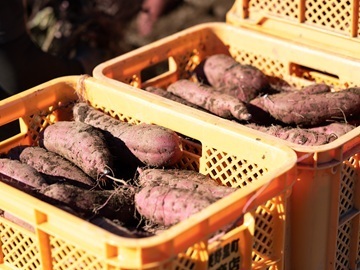 合同会社鶴田-1