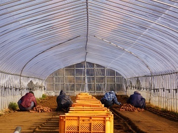 合同会社鶴田-8