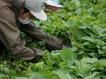 合同会社鶴田-6