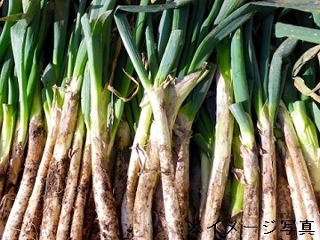 宮城県仙台市×稲作・露地野菜/法人【42956】-2