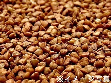 千葉県山武市×畑作・稲作/法人【42957】-top