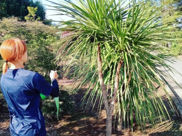 株式会社TAiRiN-top