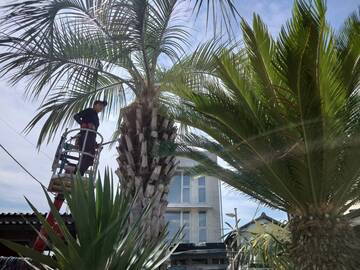 株式会社TAiRiN-2