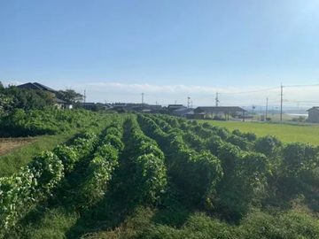 株式会社スターク・ファーム-1