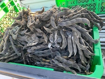 株式会社スターク・ファーム-2