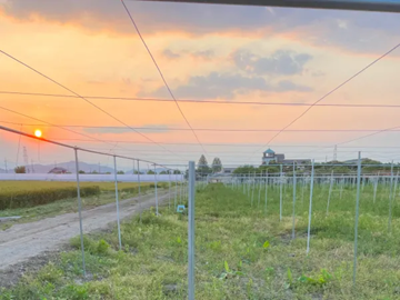 株式会社スターク・ファーム-5