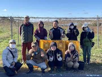 株式会社スターク・ファーム-top