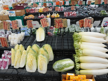 株式会社岡田商店【鳥取県:野菜部門】-top