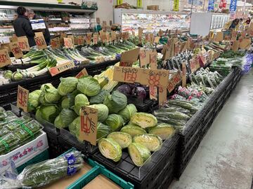 株式会社岡田商店【鳥取県:野菜部門】-4