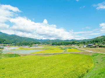 株式会社仁井農園-8