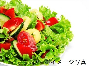 株式会社ヤマダイフーズ【群馬県:営業】-1