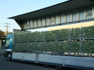 野菜株式会社グループうの福ファーム-2