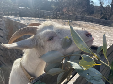 野菜株式会社グループうの福ファーム-5