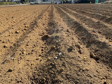 野菜株式会社グループうの福ファーム-8