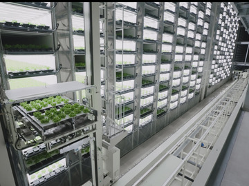 静岡県袋井市×植物工場/法人【42931】-top