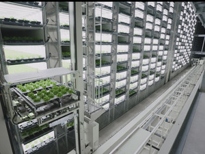 静岡県袋井市×植物工場/法人【42931】-top