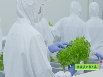 静岡県袋井市×植物工場/法人【42931】-2