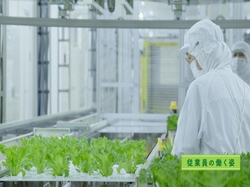 静岡県袋井市×植物工場/法人【42931】-1