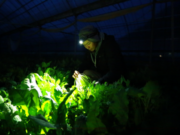 株式会社松の実ファーム-6