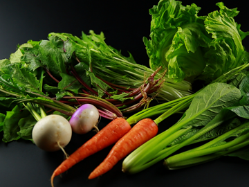 株式会社松の実ファーム-8