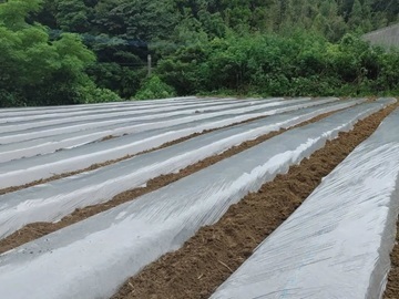 株式会社松の実ファーム-7