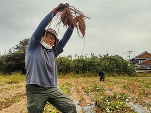 株式会社松の実ファーム-top