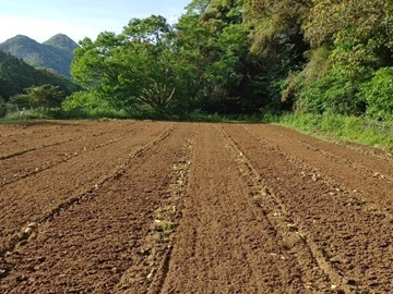 株式会社松の実ファーム-1