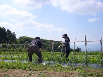 株式会社松の実ファーム-4