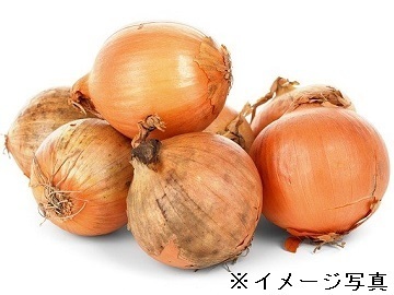 兵庫県洲本市×選果加工/法人【42971】-1