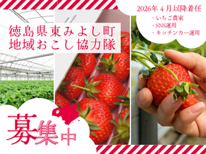 有限会社 ミカモフレテック　(東みよし町地域おこし協力隊)-top