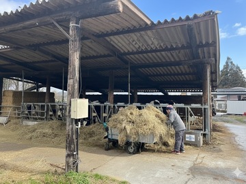 株式会社山口牧場(山梨県)-4