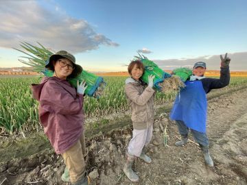 いいじま農園(北海道)-1
